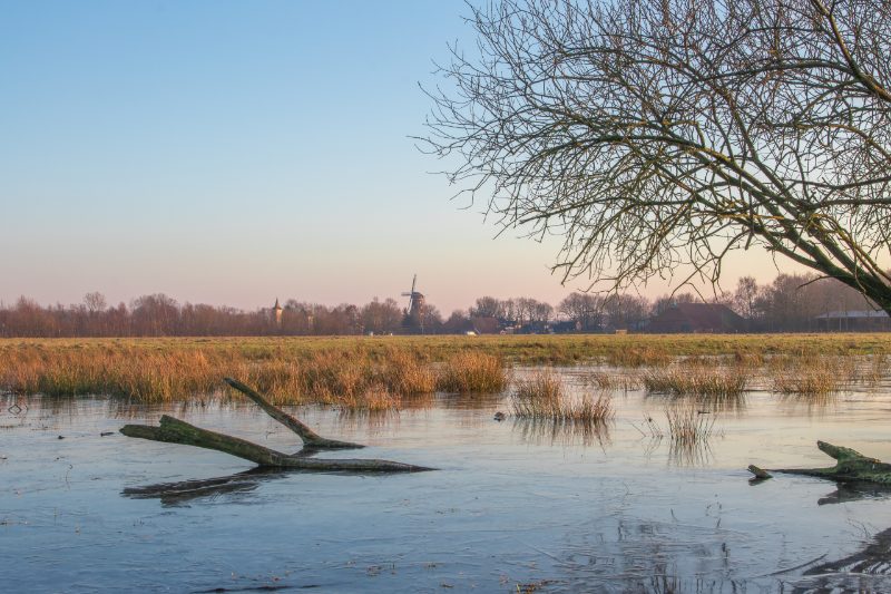't Roegwold en het Schildmeer