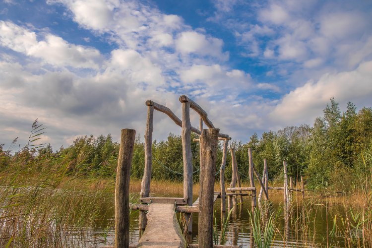 Heemtuin Muntendam & Natuurpark Tussen de Venen - Mammoetpad