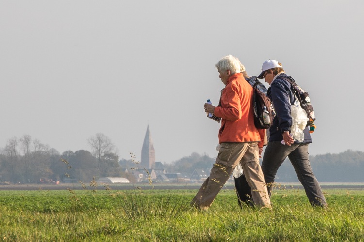 Wandelen door 't Roegwold