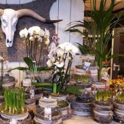 Bloemenwinkel Van der Laan