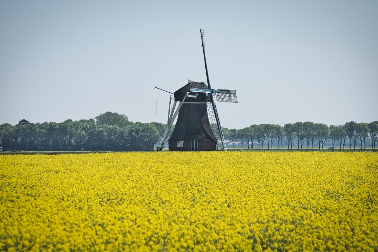 Westerse Molen