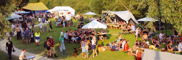 Art Carnivale - Veld