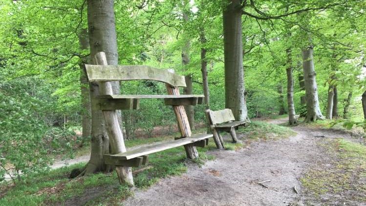 Bungelbank in het Slochterbos
