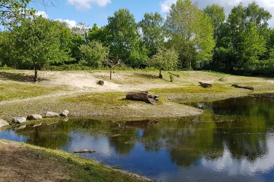 Dorpsrandpark Zwaneveldsgat, Kolham
