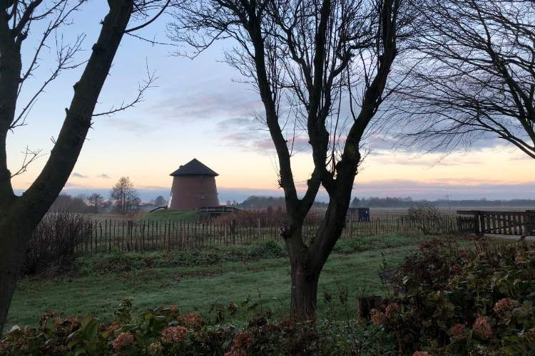 Torentje van Trips