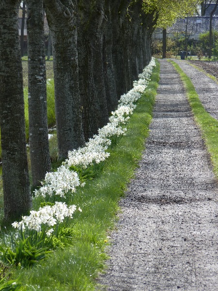 Tuin Nauta de Blaauw