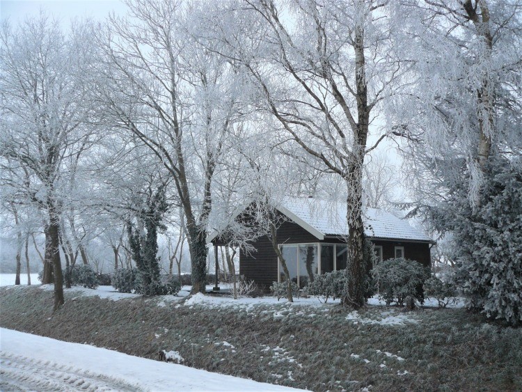 Chalet Wildemansheerd