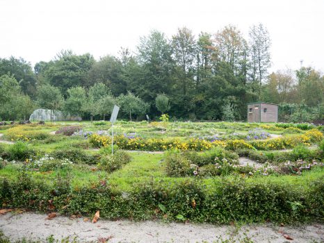 natuurtuin NME, fotograaf Marike Vrieling