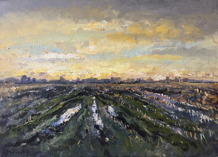 Verdronken land