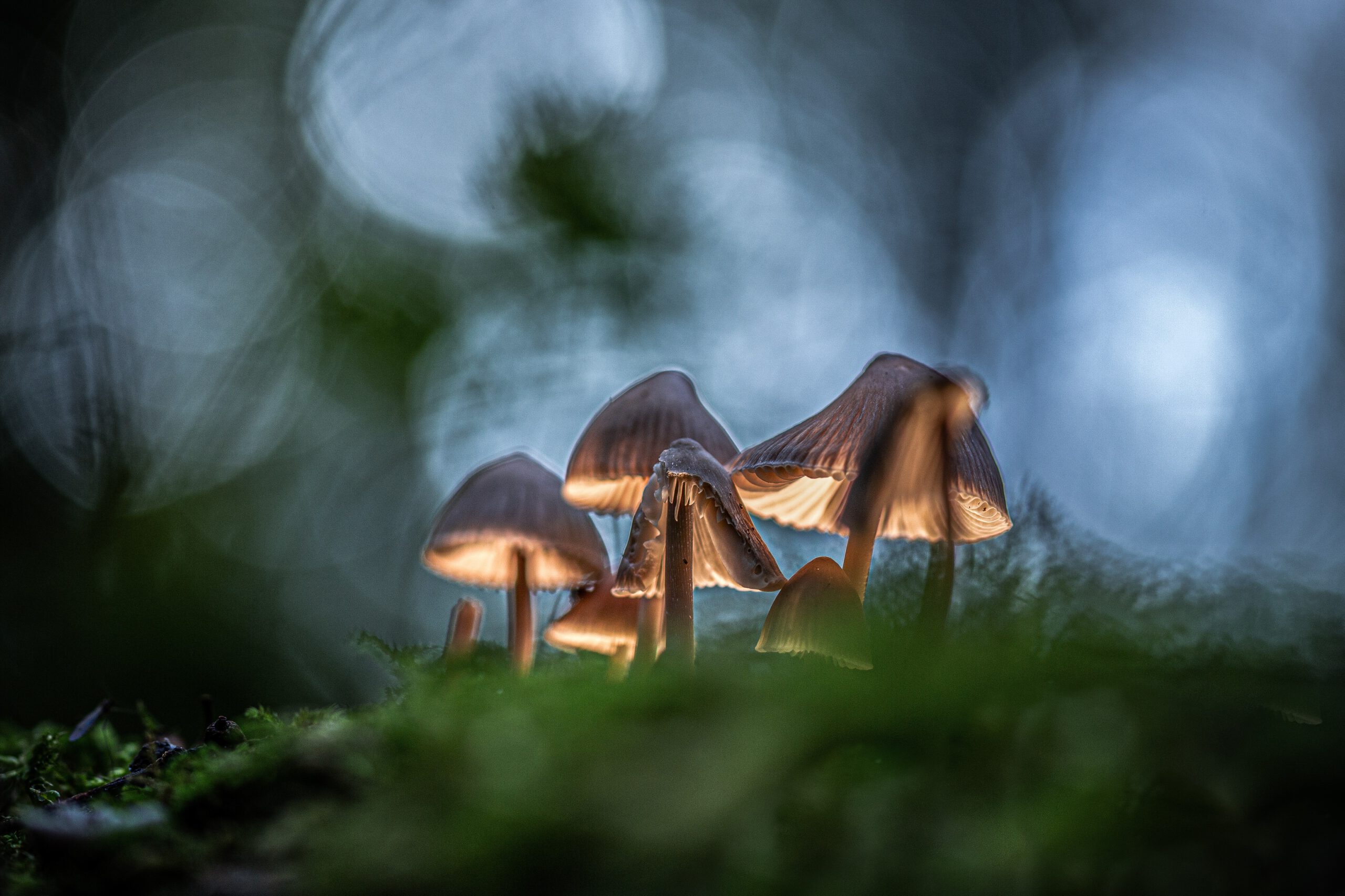 spelen met licht, fotograaf Wilco van der Laan