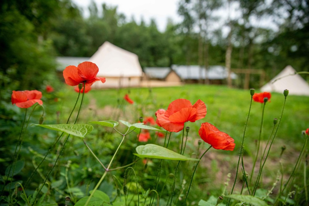 Camping de Heemtuin