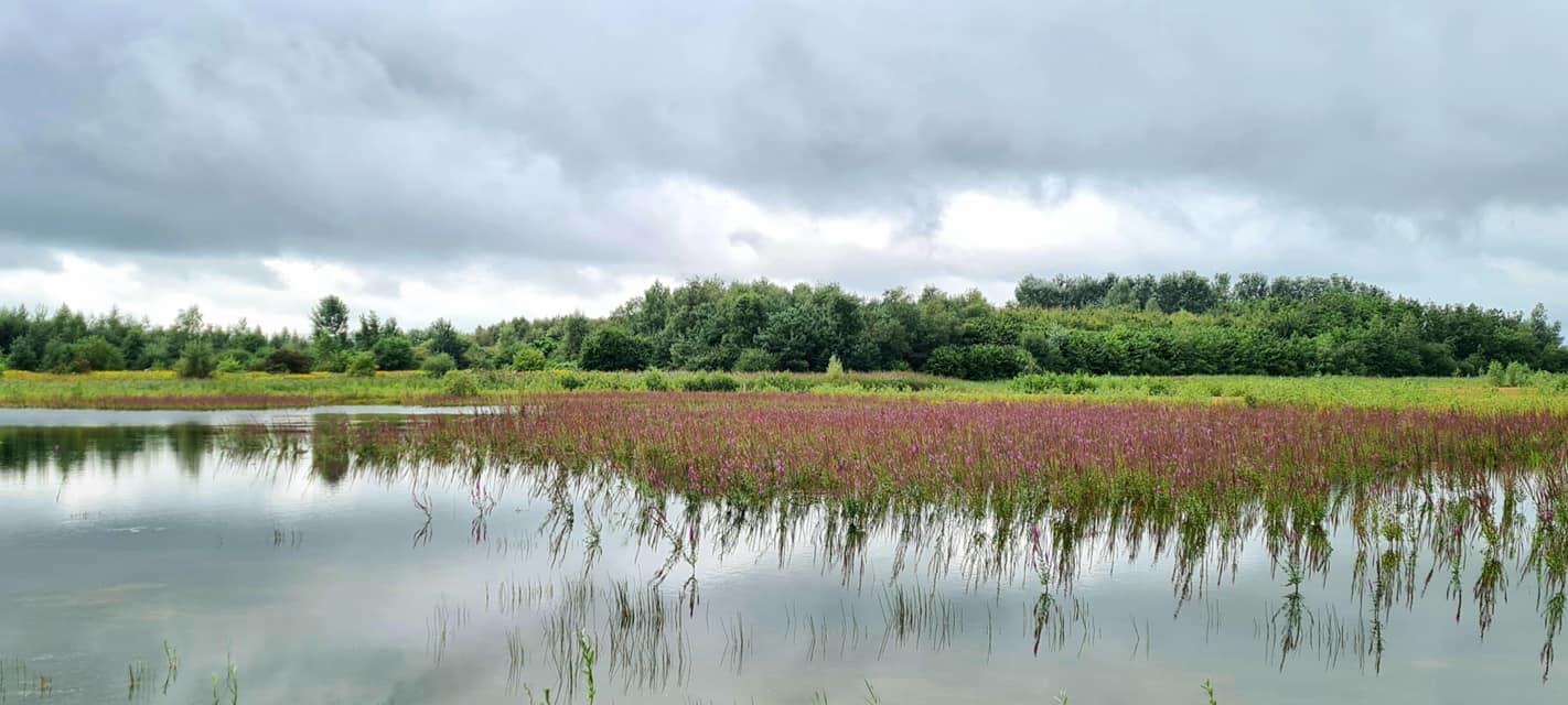 Heemtuin & Natuurpark Tussen de Venen