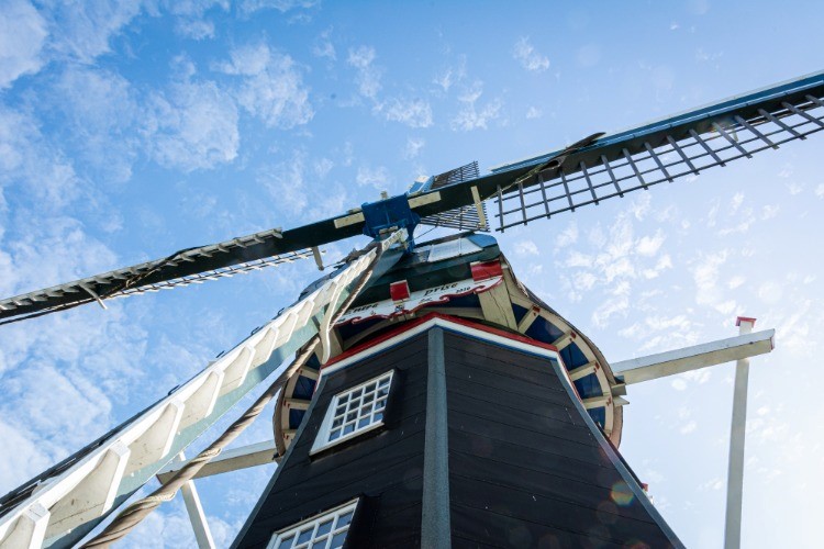 Molen Entreprise, Kolham