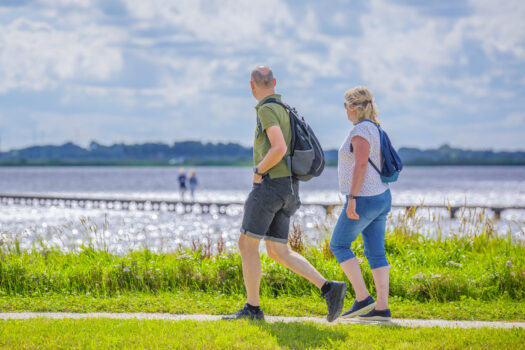 Wandelen in 't Roegwold