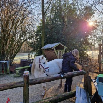 Camping Luna de Rolke - eigen paarden